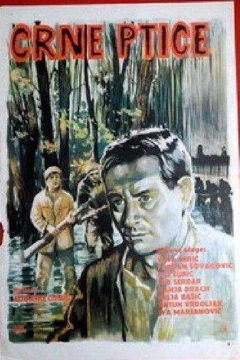 Black Birds film afişi