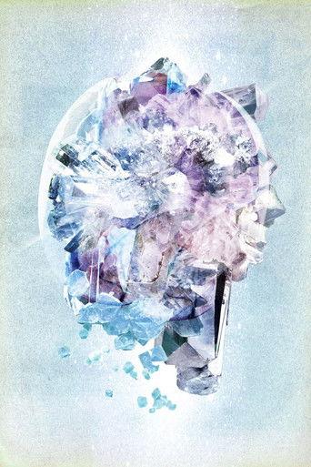 RADWIMPS LIVE&DOCUMENT 2014「×と○と君と」 film afişi