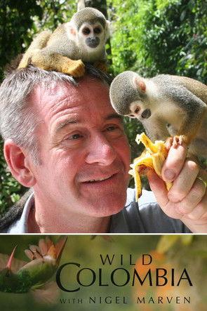 Wild Colombia with Nigel Marven dizi afişi
