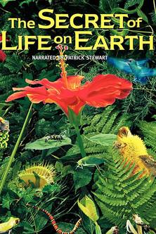 The Secret of Life on Earth film afişi