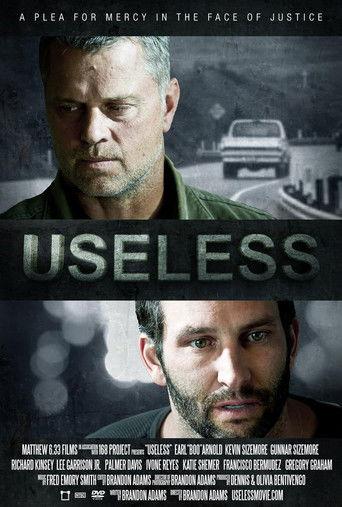 Useless film afişi