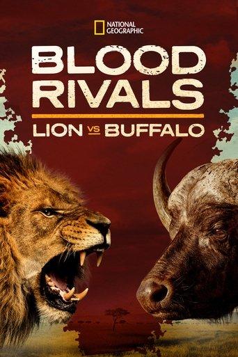 Blood Rivals: Lion vs Buffalo film afişi