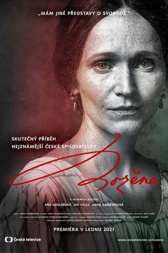 Božena dizi afişi