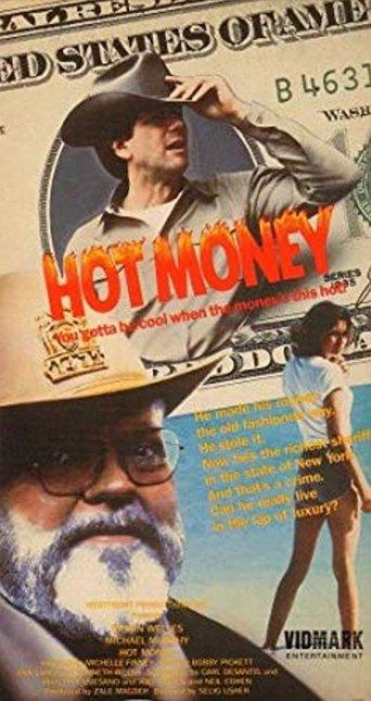 Hot Money film afişi
