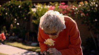 Attacks on the Judiciary; 90+; Notes of Grace