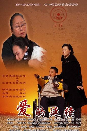 爱的延续 film afişi