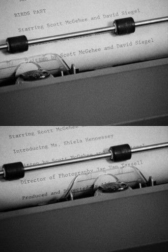 Birds Past film afişi