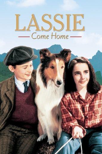 Lassie Come Home film afişi