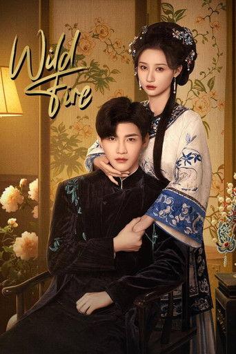 Wild Fire dizi afişi