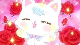 Bonjour Castle Is Glittering