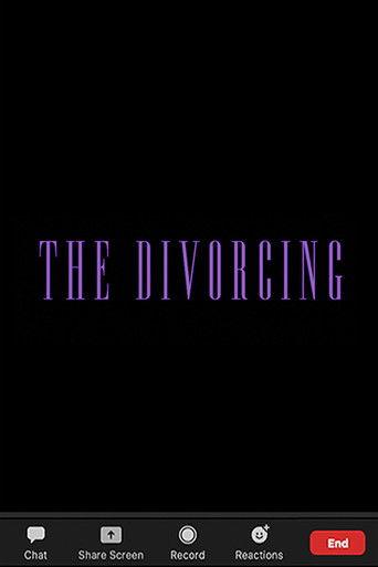 The Divorcing film afişi