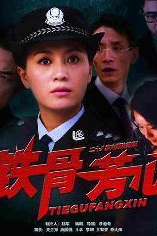 铁骨芳心 dizi afişi