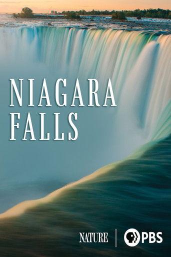 Niagara Falls film afişi