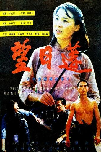 望日莲 film afişi