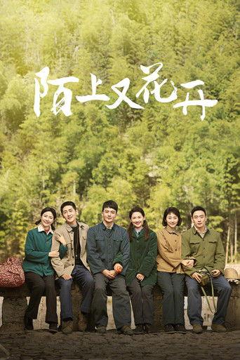 陌上又花开 dizi afişi