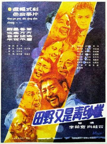 田野又是青纱帐 film afişi