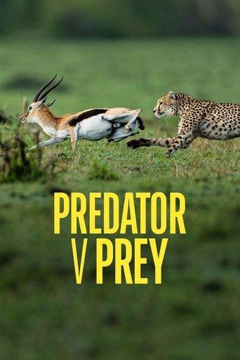 Predator v Prey dizi afişi