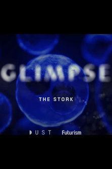 Glimpse Ep 2: The Stork film afişi