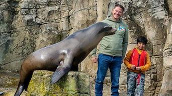 Sea Lion and Capybara