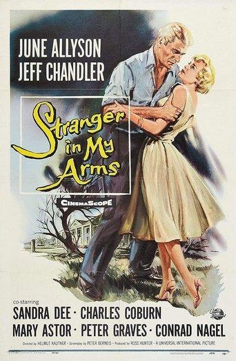 A Stranger in My Arms film afişi