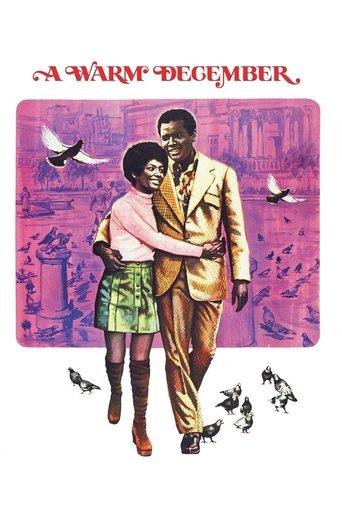 A Warm December film afişi