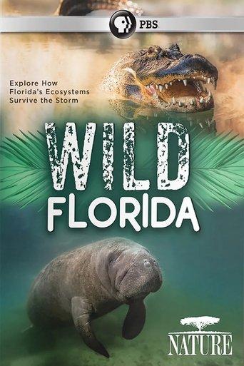 Wild Florida film afişi