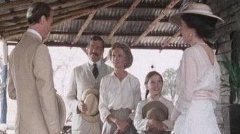 Hyenas Will Eat Anything