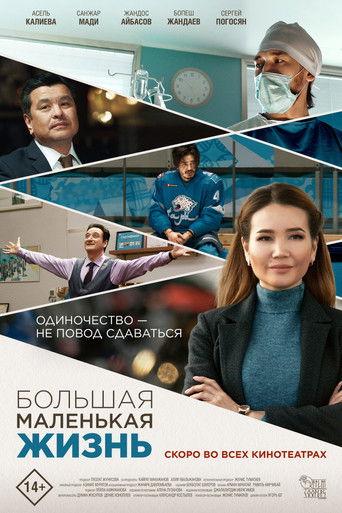 Big Little Life film afişi