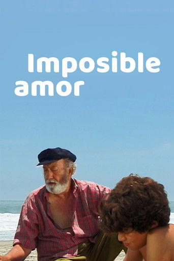Impossible Love film afişi