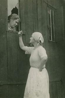 Hemslavinnor film afişi