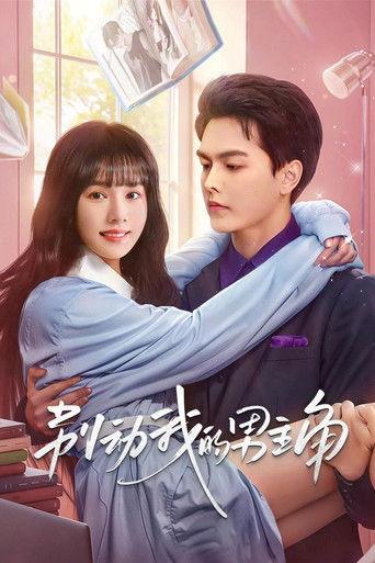 别动我的男主角 dizi afişi