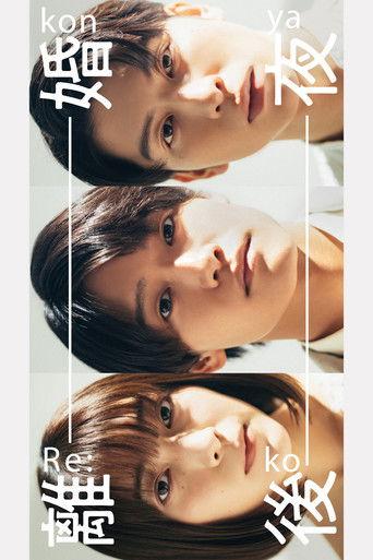 The Night After the Divorce dizi afişi