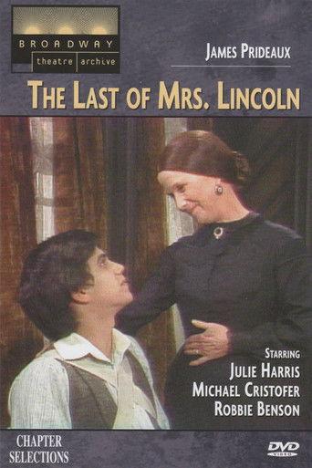 The Last of Mrs. Lincoln film afişi