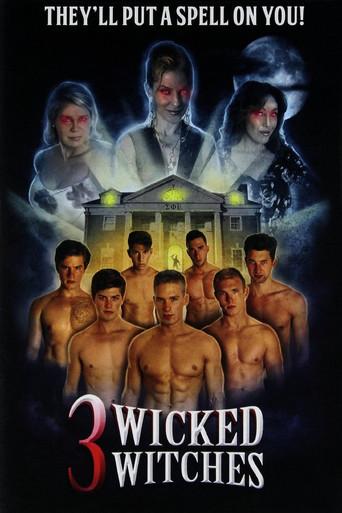 3 Wicked Witches film afişi