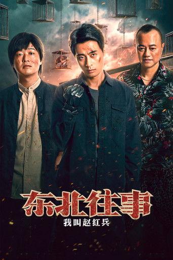 东北往事之我叫赵红兵 film afişi