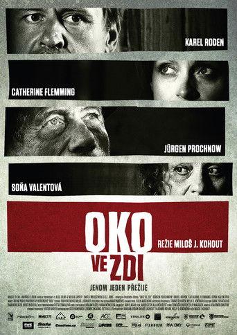 Oko ve zdi film afişi