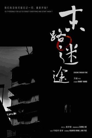 Chasing Through Time film afişi