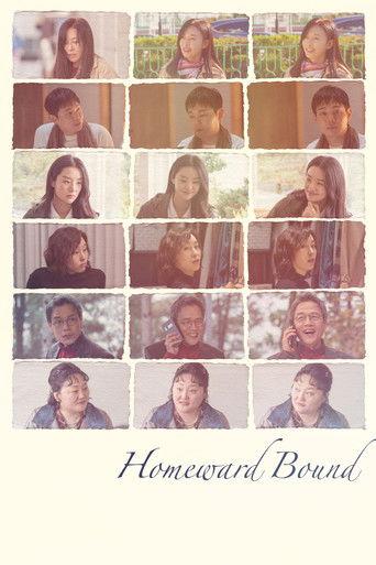 Homeward Bound film afişi