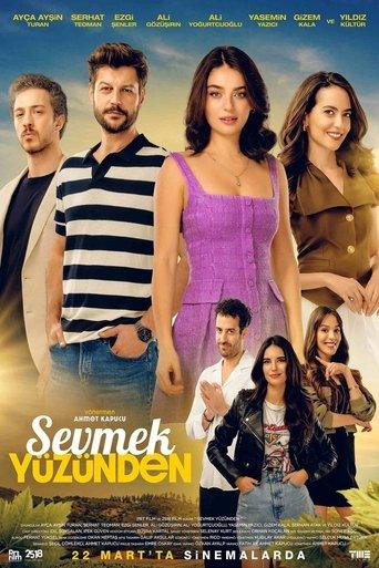 Because of Loving film afişi