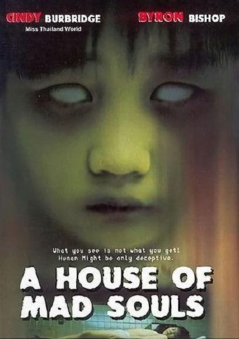 A House of Mad Souls film afişi