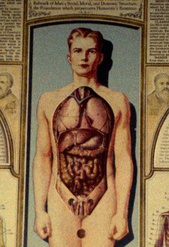 Natural History film afişi