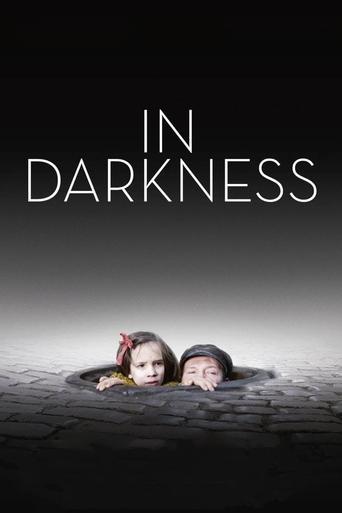 In Darkness film afişi