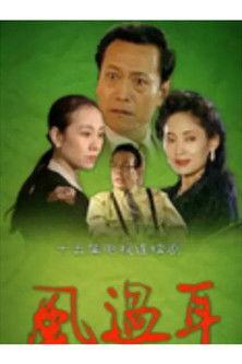 风过耳 dizi afişi