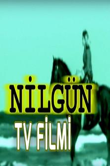 Nilgün film afişi