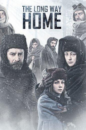 The Long Way Home film afişi