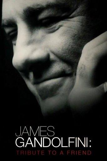 James Gandolfini: Tribute to a Friend film afişi
