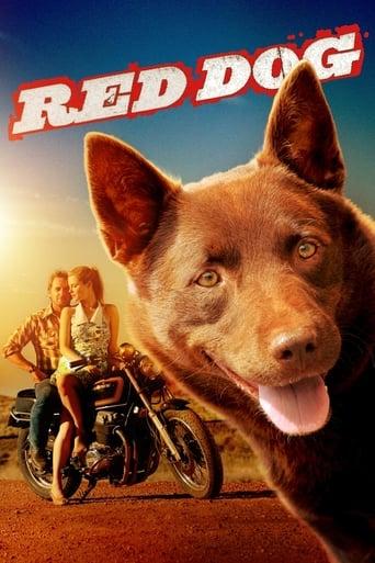 Red Dog film afişi