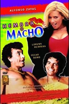 Hembra o macho film afişi