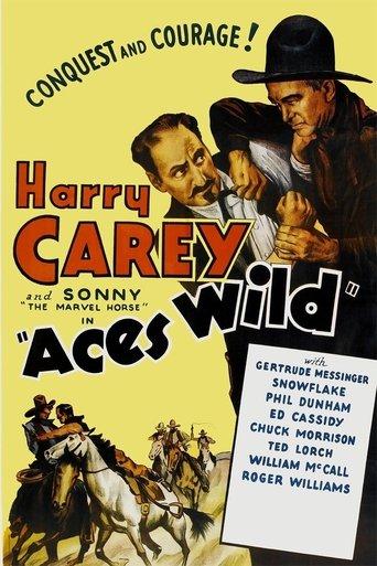 Aces Wild film afişi