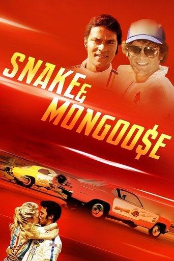 Snake & Mongoose film afişi